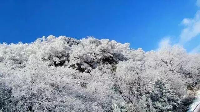 江西乐安：暴雪致连片菇棚坍塌，救援持续
