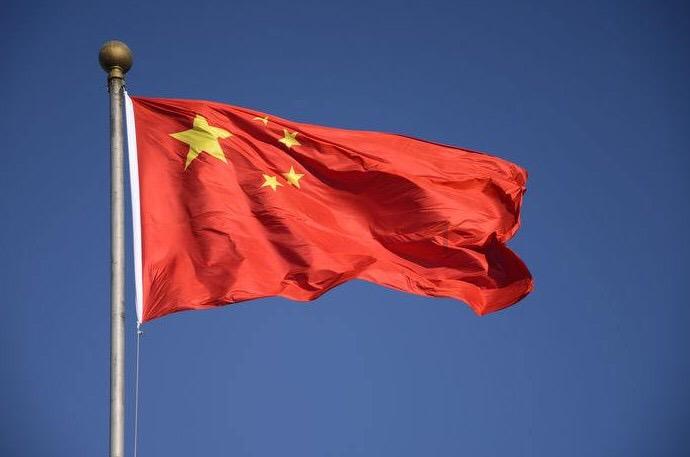 萌犬找不同